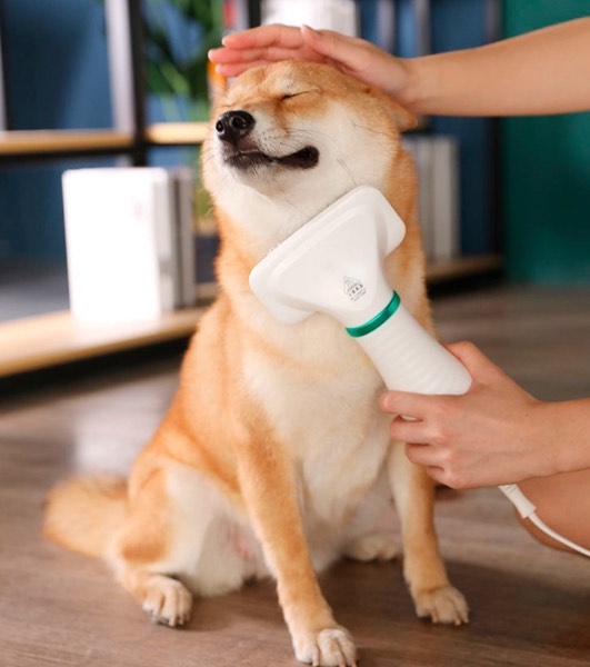 Cepillo secador para perro